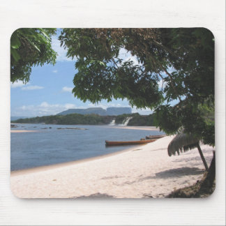 Sandy Beach Venezuela Oerwoud Landschap Muismat