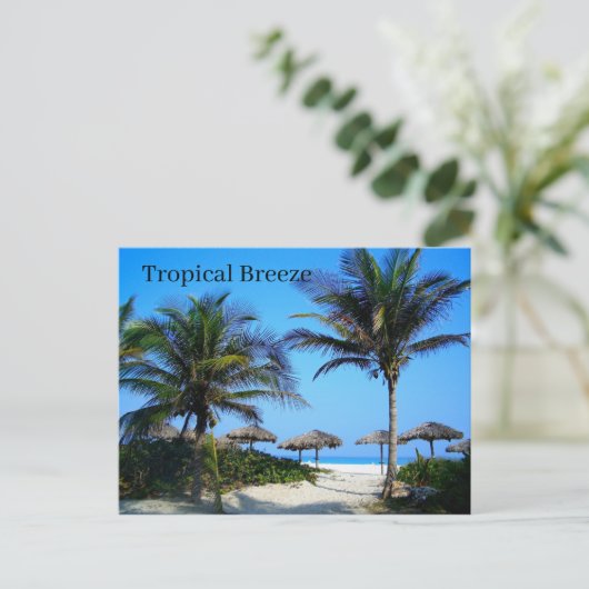 Sandy Beach with Palm Trees and An Ocean Uitzicht  Briefkaart (Staand voorkant)