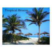 Sandy Beach with Palm Trees and An Ocean Uitzicht  Foto Afdruk (Voorkant)