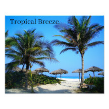 Sandy Beach with Palm Trees and An Ocean Uitzicht