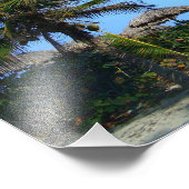 Sandy Beach with Palm Trees and An Ocean Uitzicht  Foto Afdruk (Hoek)