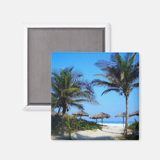 Sandy Beach with Palm Trees and An Ocean Uitzicht  Magneet (Voorkant / Achterkant)