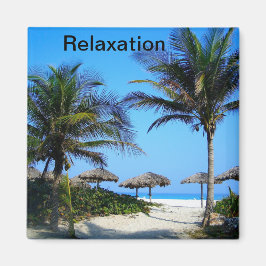 Sandy Beach with Palm Trees and An Ocean Uitzicht  Magneet