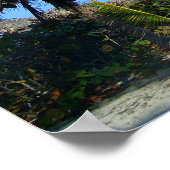 Sandy Beach with Palm Trees and An Ocean Uitzicht Poster (Hoek)