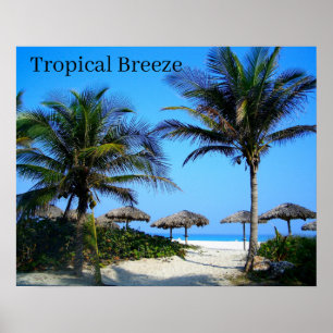 Sandy Beach with Palm Trees and An Ocean Uitzicht Poster
