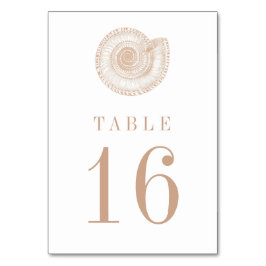 Sandy Beige Tan Zee Shell Table Number Kaart