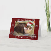 "Sandy Claws" Kerst Kaart (Voorkant)