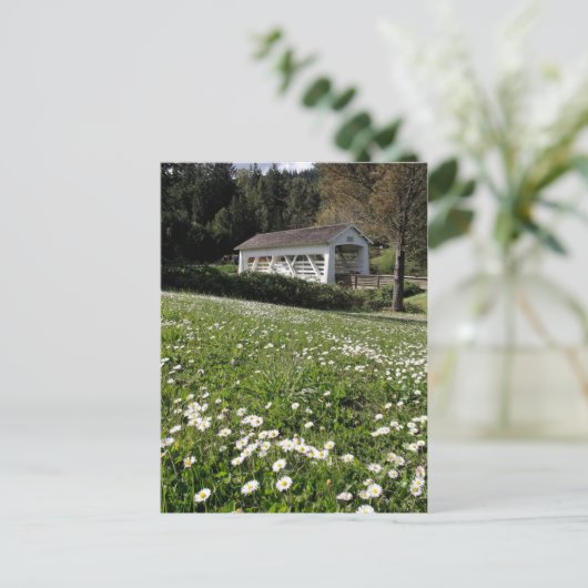 Sandy Cr. Bedekte brug Briefkaart (Staand voorkant)