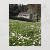 Sandy Cr. Bedekte brug Briefkaart (Voorkant)