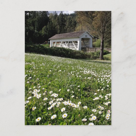 Sandy Cr. Bedekte brug Briefkaart (Voorkant)