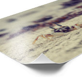 Sandy Crabs Foto Afdruk (Hoek)