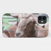 Sandy de geit bij de poort Case-Mate iPhone case (Achterkant (horizontaal))