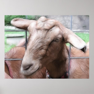 Sandy de geit bij de poort poster