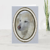 *Sandy Dog - excuses/sorry Kaart (Voorkant)