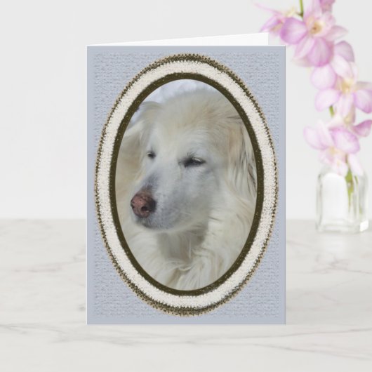 *Sandy Dog - excuses/sorry Kaart (Orchidee)