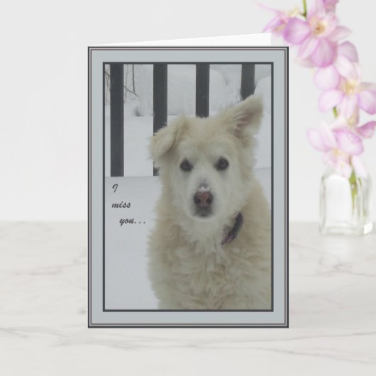 *Sandy Dog - Ik mis je Kaart (Orchidee)