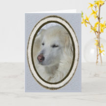 *Sandy Dog - Missing You