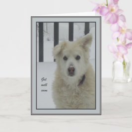 *Sandy Dog - Wordt snel gezond Kaart