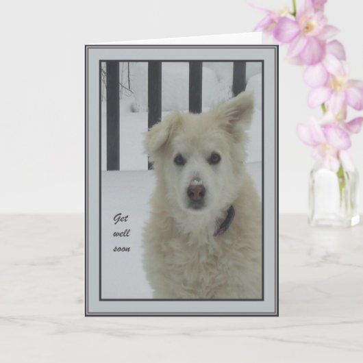 *Sandy Dog - Wordt snel gezond Kaart (Orchidee)