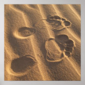 SANDY FEET POSTER (Voorkant)