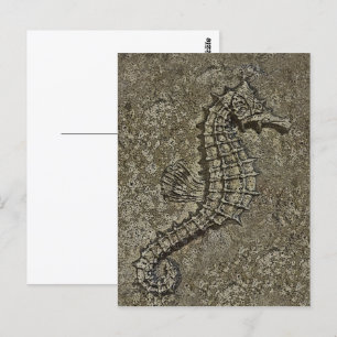 Sandy getextureerde Seahorse foto Briefkaart