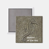 Sandy getextureerde Seahorse foto Magneet (Voorkant / Achterkant)