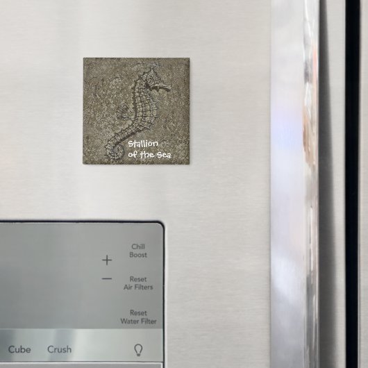 Sandy getextureerde Seahorse foto Magneet (Insitu (Koelkast))