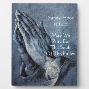 SANDY HOOK 12.14.12 MAG WE SPREKEN VOOR DE ZULLEN. FOTOPLAAT