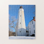 Sandy Hook Lighthouse, New Jersey Jigzaag Puzzle Legpuzzel (Verticaal)