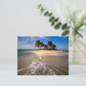 Sandy Island, Anguilla, Caribisch gebied Briefkaart (Staand voorkant)