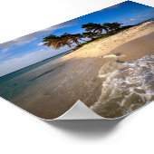 Sandy Island, Anguilla, Caribisch gebied Poster (Hoek)