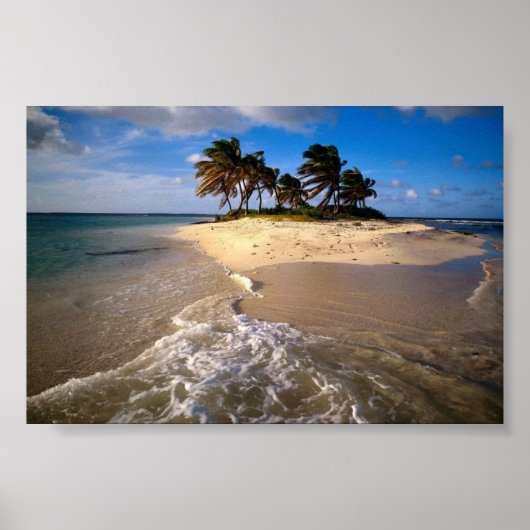 Sandy Island, Anguilla, Caribisch gebied Poster (Voorkant)