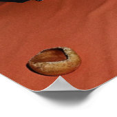 Sandy Luxury Poster (Hoek)