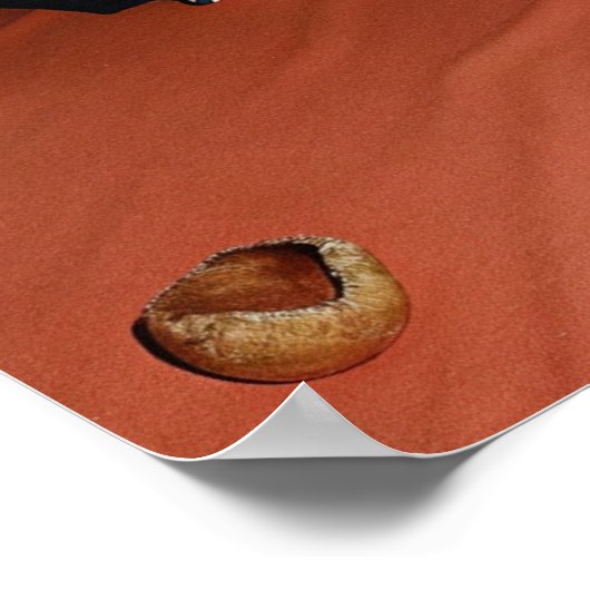 Sandy Luxury Poster (Hoek)