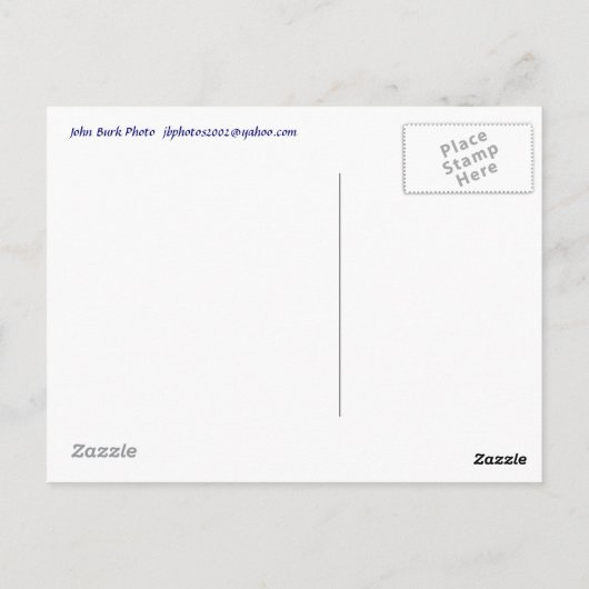 Sandy Neck Marsh Trail, Sandy Neck Beach, Cape Cod Briefkaart (Achterkant)