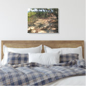 Sandy Path door de Mangroves Canvas Afdruk (Insitu (Slaapkamer))