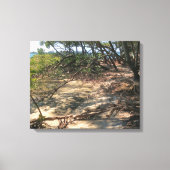 Sandy Path door de Mangroves Canvas Afdruk (Voorkant)