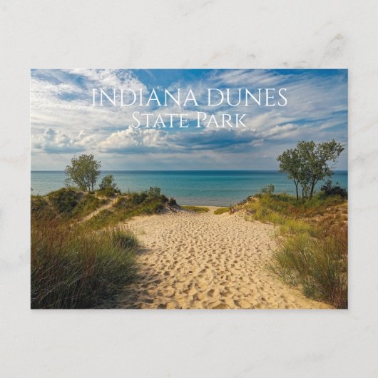 Sandy Path to Lake Michigan Beach, Indiana Dunes Briefkaart (Voorkant)