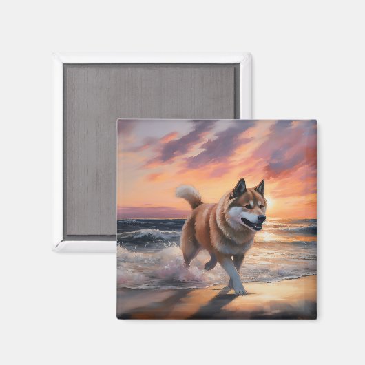 Sandy Paws Akita Hond op Strand Zonsondergang Magneet (Voorkant / Achterkant)