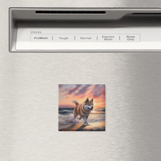 Sandy Paws Akita Hond op Strand Zonsondergang Magneet (Insitu (Vaatwasser))