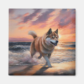 Sandy Paws Akita Hond op Strand Zonsondergang Magneet (Voorkant)