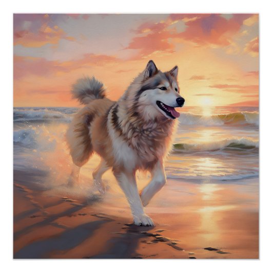 Sandy Paws Alaskan Malamute Hond op Strand Zonsond Perfect Poster (Voorkant)