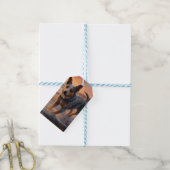 Sandy Paws Australian Cattle Dog op het strand zon Cadeaulabel (Met Touw)