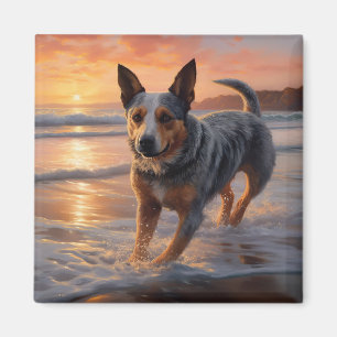 Sandy Paws Australian Cattle Dog op het strand zon Magneet