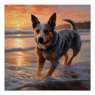 Sandy Paws Australian Cattle Dog op het strand zon Perfect Poster
