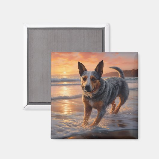 Sandy Paws Australische vee hond op strand zonsond Magneet (Voorkant / Achterkant)