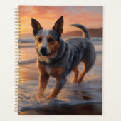 Sandy Paws Australische vee hond op strand zonsond Planner (Voorkant)