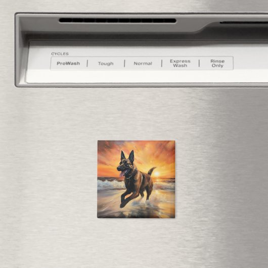 Sandy Paws Belgische Malinois-hond op het strand b Magneet (Insitu (Vaatwasser))