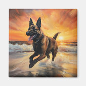Sandy Paws Belgische Malinois-hond op het strand b Magneet (Voorkant)