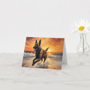 Sandy Paws Belgische Malinois Hond op Strand Zonso Kaart